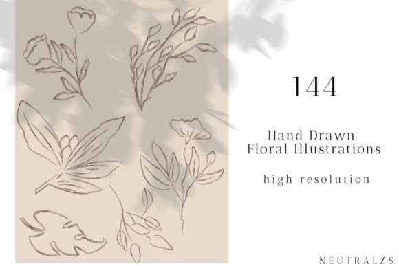 Premium Floral Illustrations for Designers