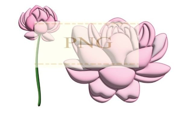 The Lotus 3D Flower Pink Floral PNG: A Comprehensive Resource for Creators